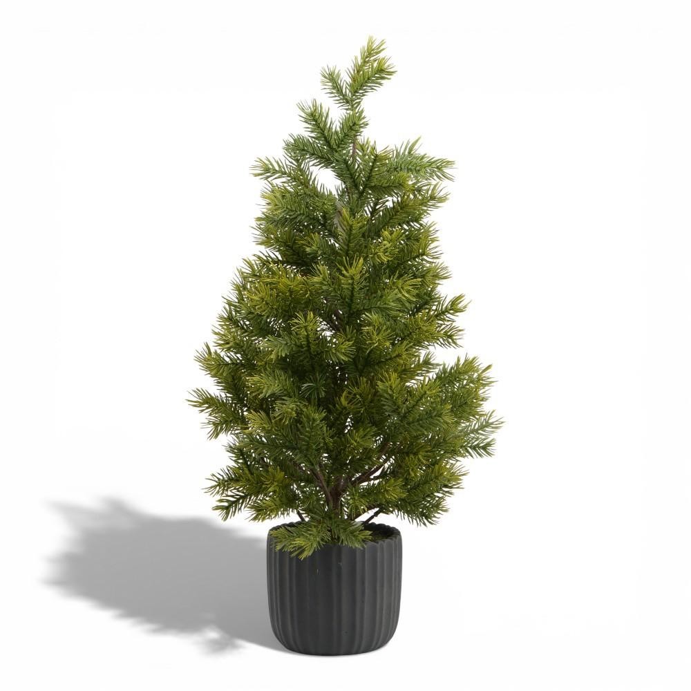 ABETE IN VASO GREEN CM65